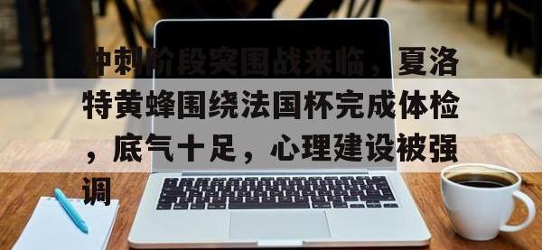冲刺阶段突围战来临，夏洛特黄蜂围绕法国杯完成体检，底气十足，心理建设被强调的简单介绍开云APP下载
